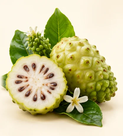 Noni Fruit Powder